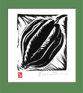 Acorn Squash Woodcut by Eric Stevens